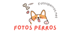 fotosperros.net